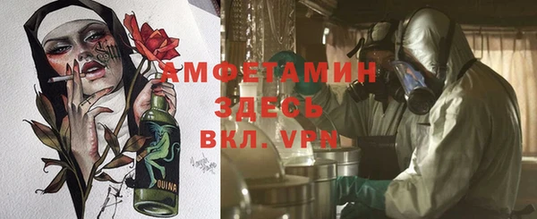 прущие грибы Алексеевка