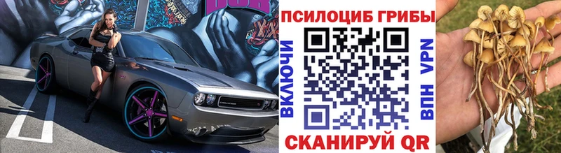 Псилоцибиновые грибы ЛСД ОМГ ОМГ онион Заполярный купить